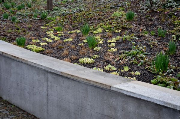 Concrete Wall Construction in Clover