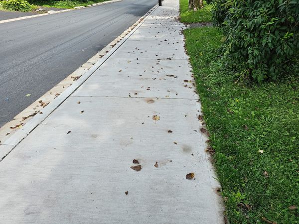 Sidewalk Renovation in Clover