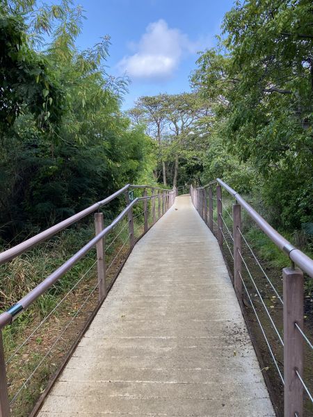 Footpath Construction in Clover