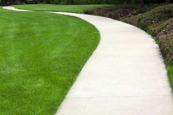 Pathway Construction in Clover