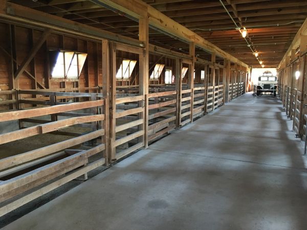 Barn Slab Construction in Clover