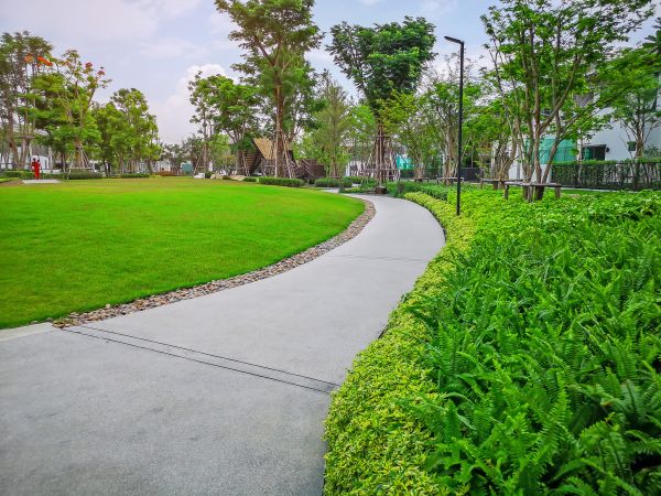 Cement Walkway Service in Clover