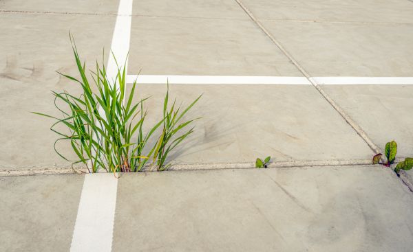 Concrete Parking Installation in Clover