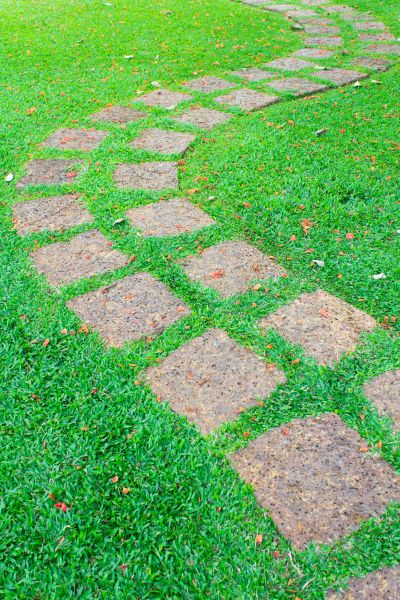 Backyard Pathway Construction in Clover